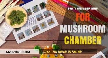 DIY Drip Shield: Protect Your Mushroom Chamber with This Easy Guide