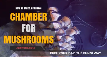 Build Your Own Mushroom Fruiting Chamber: A Step-by-Step Guide
