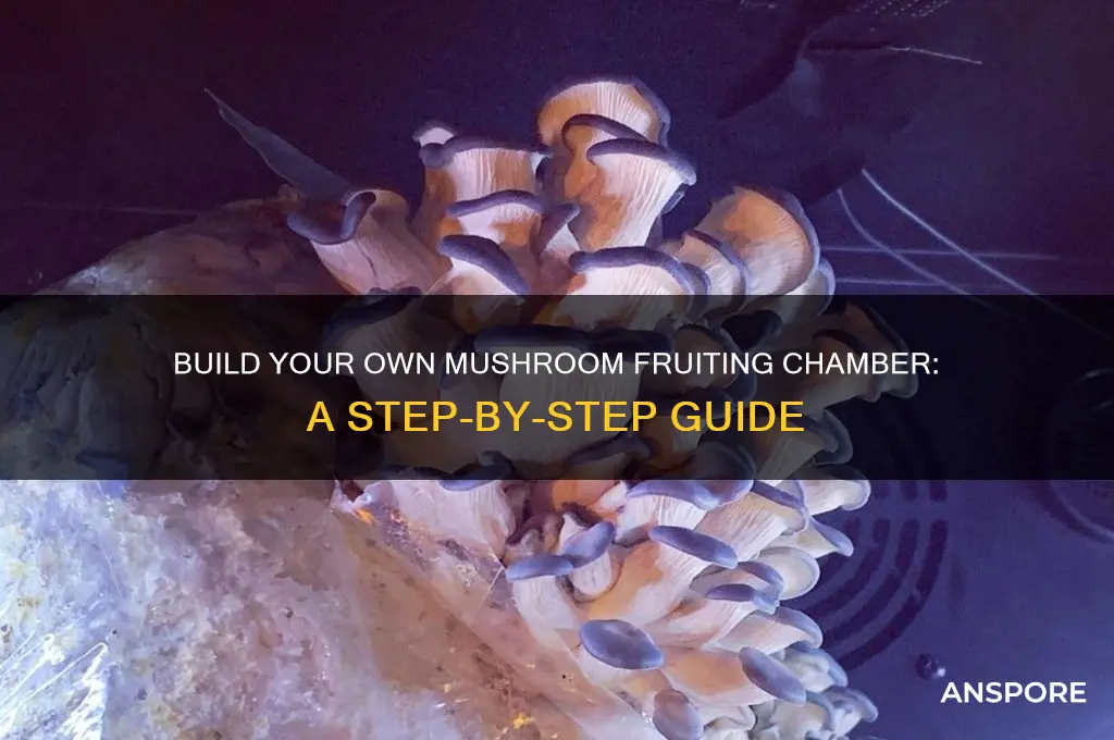 how to make a fruiting chamber for mushrooms