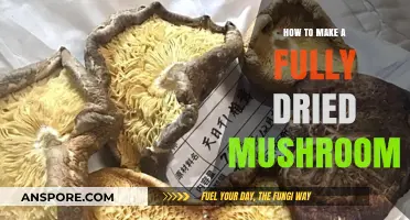 Mastering the Art of Perfectly Dried Mushrooms: A Step-by-Step Guide