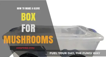 DIY Mushroom Glove Box: Step-by-Step Guide for Optimal Growth