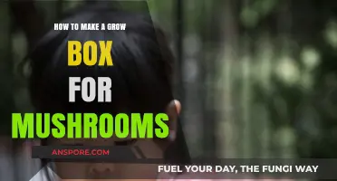 DIY Mushroom Grow Box: Step-by-Step Guide for Beginners