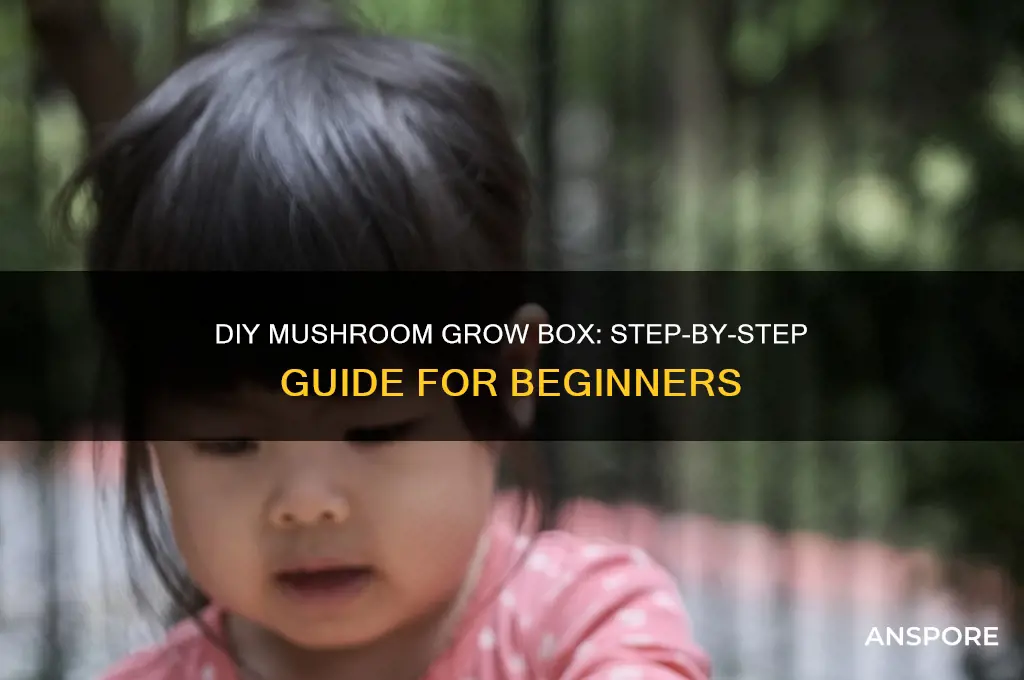 how to make a grow box for mushrooms