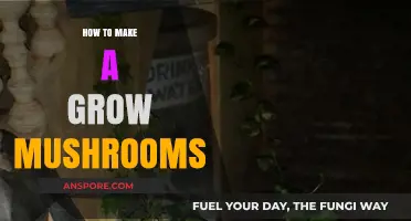 Mastering Mushroom Cultivation: A Step-by-Step Guide to Growing Mushrooms at Home