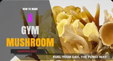 Crafting a Gym Mushroom: Creative DIY Fitness Equipment Guide