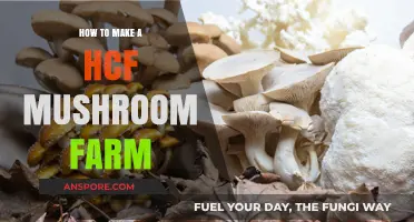 Build Your Own HCF Mushroom Farm: A Step-by-Step Guide