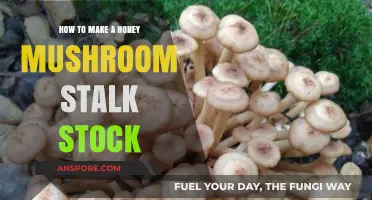Crafting Rich Honey Mushroom Stalk Stock: A Flavorful Culinary Guide