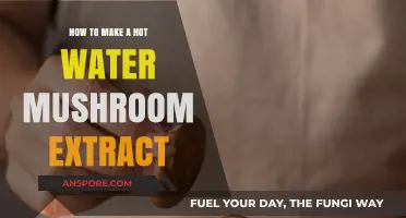 Brewing Medicinal Magic: Crafting Hot Water Mushroom Extract at Home
