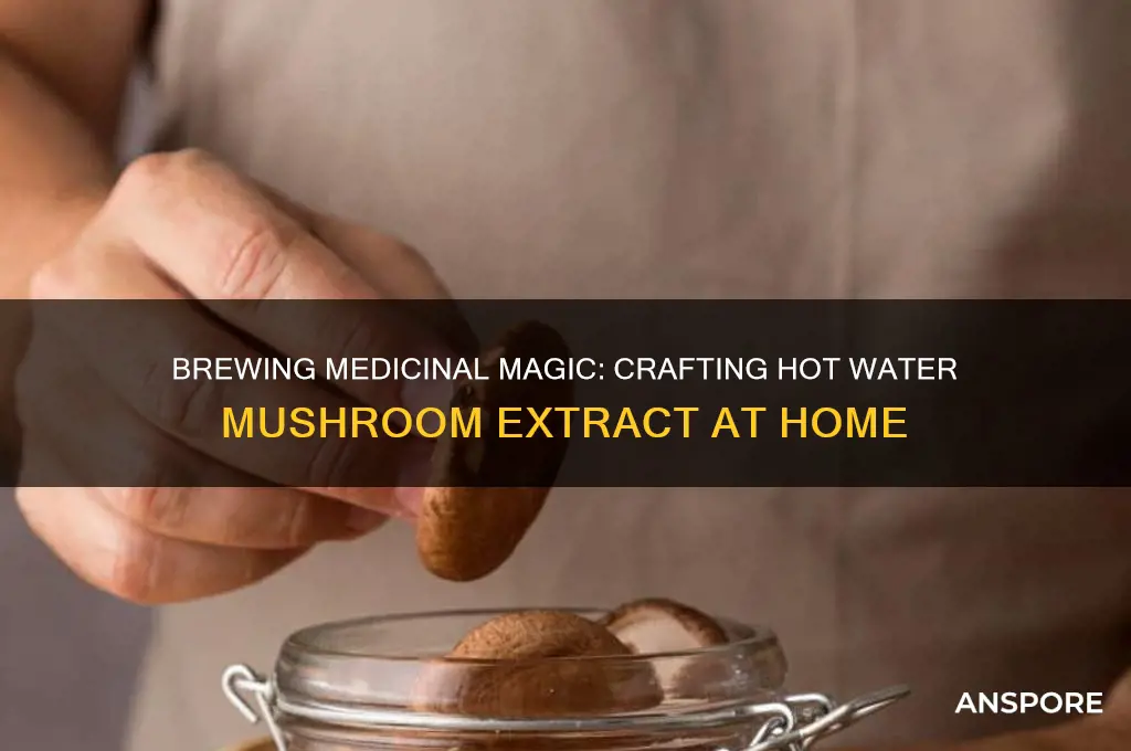 how to make a hot water mushroom extract