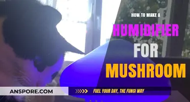 DIY Mushroom Humidifier: Simple Steps for Optimal Fungal Growth