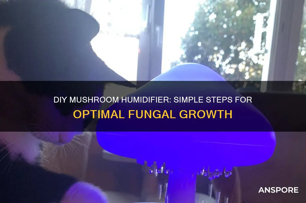 how to make a humidifier for mushrooms