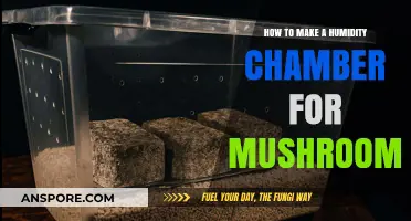 DIY Humidity Chamber Guide: Growing Mushrooms Successfully at Home