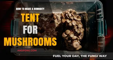 DIY Humidity Tent Guide: Perfect Mushroom Growing Environment Made Easy