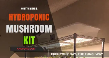 DIY Hydroponic Mushroom Kit: Easy Steps for Fresh Harvests