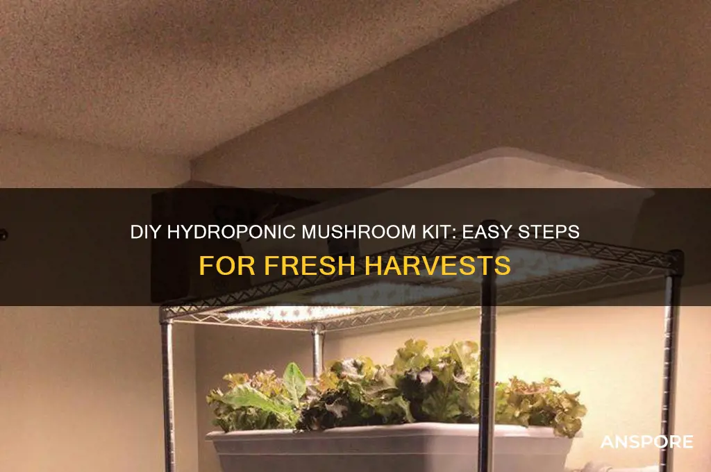 how to make a hydroponic mushroom kit