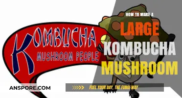 Mastering the Art of Growing a Giant Kombucha Mushroom at Home