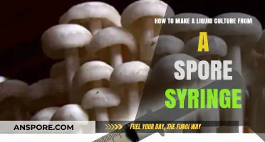 Mastering Liquid Culture: Transforming Spore Syringes into Mycelium Growth