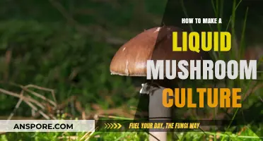 Mastering Liquid Mushroom Cultures: A Step-by-Step Guide for Beginners