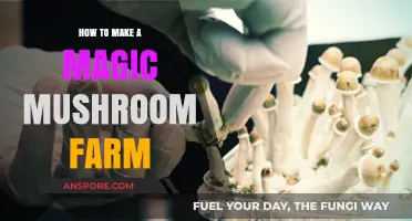 Cultivating Psilocybin: A Step-by-Step Guide to Growing Magic Mushrooms