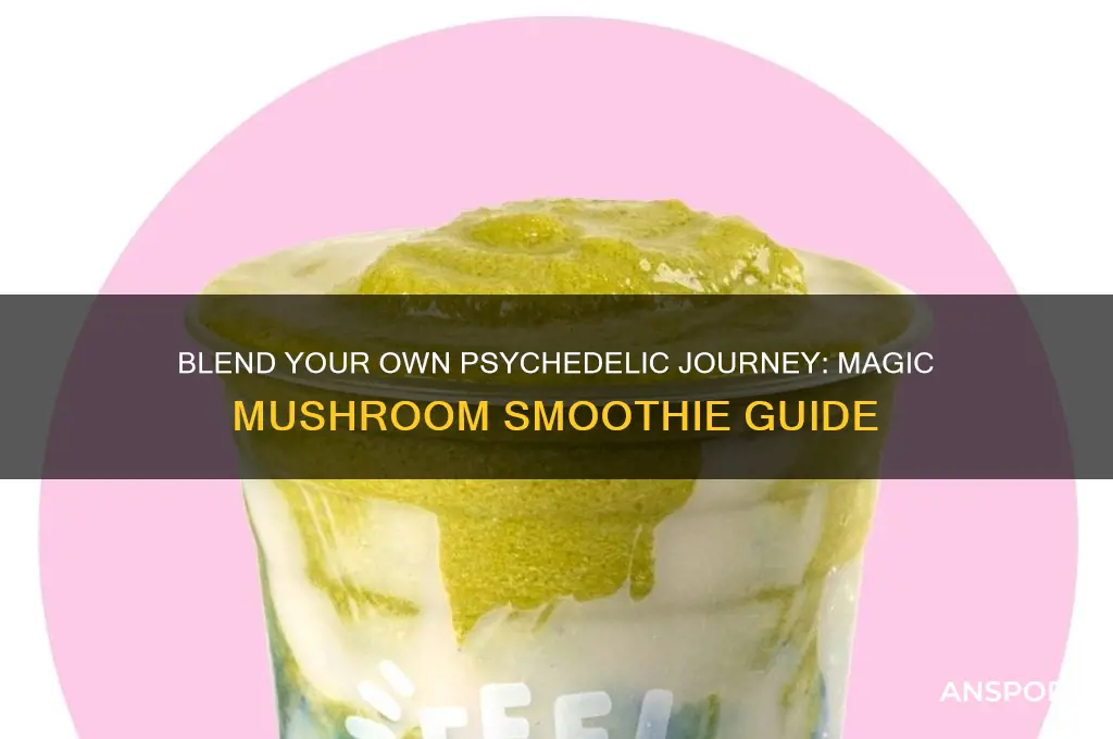 how to make a magic mushroom smoothie