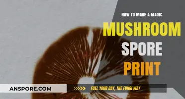 Mastering the Art of Creating Magic Mushroom Spore Prints at Home