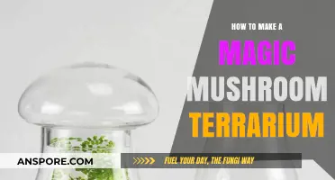 Create a Mystical Magic Mushroom Terrarium: A Step-by-Step Guide