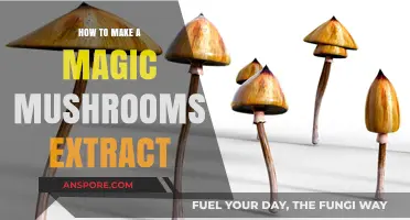 Crafting Magic Mushroom Extract: A Step-by-Step Guide to Potency