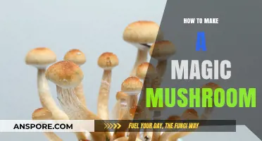 Crafting Magic Mushrooms: A Step-by-Step Guide to Growing Psilocybin