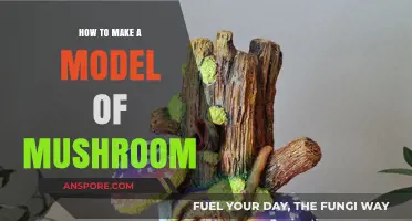 Crafting a Mushroom Model: Simple DIY Guide for Beginners
