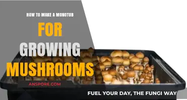 Mastering Monotub Mushroom Cultivation: A Step-by-Step DIY Guide