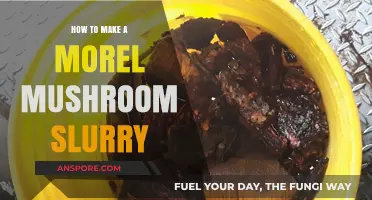 Crafting Morel Mushroom Slurry: A Simple, Flavorful Kitchen Technique