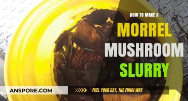 Crafting a Rich Morel Mushroom Slurry: Simple Steps for Culinary Magic