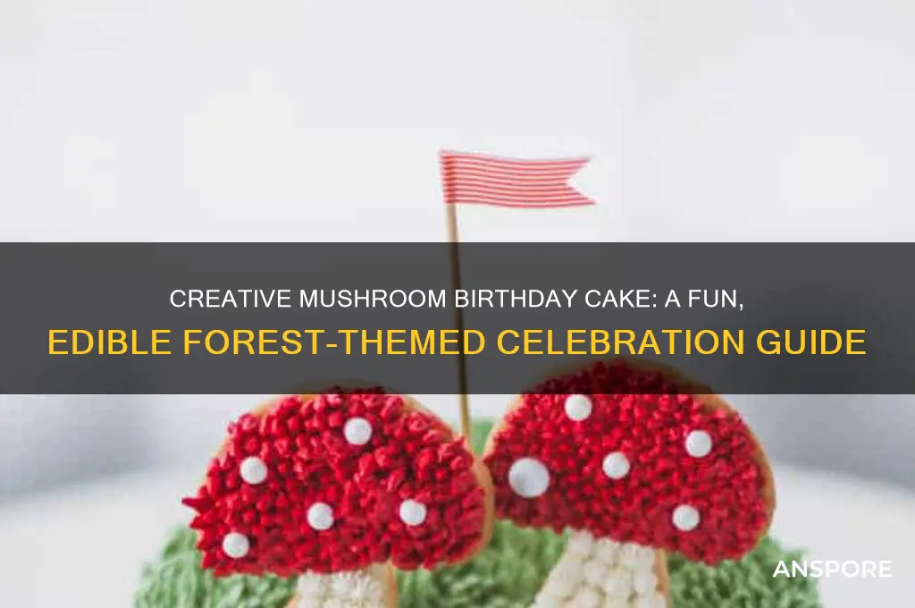how to make a mushroom birthday cake