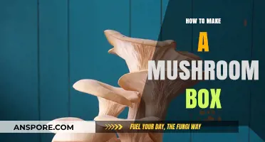 Crafting a Mushroom Box: Simple Steps for Growing Fungi at Home