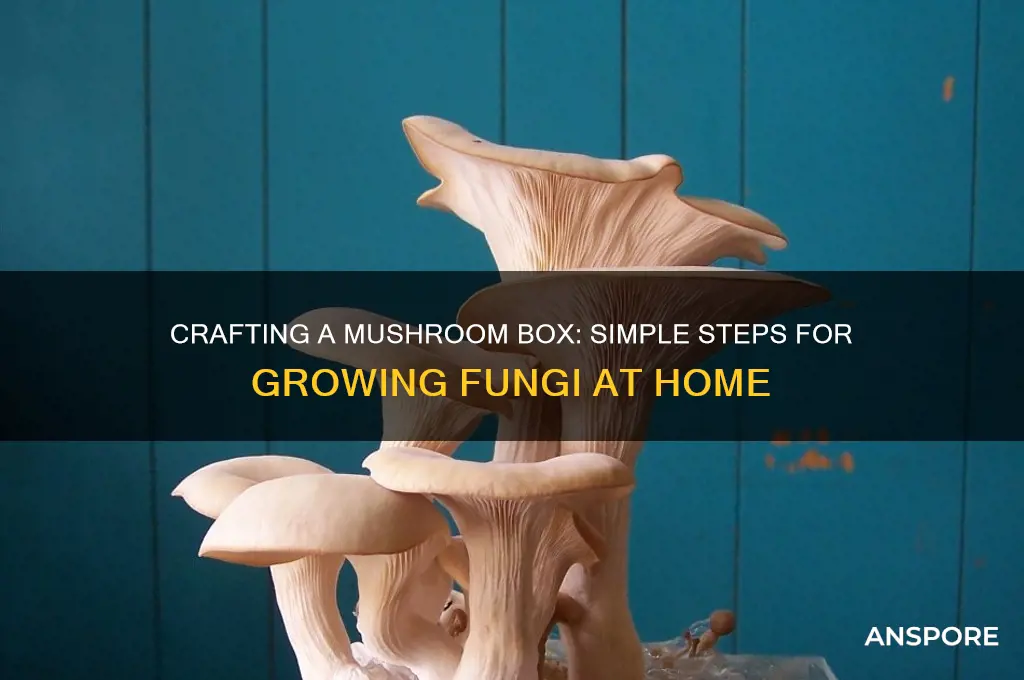 how to make a mushroom box