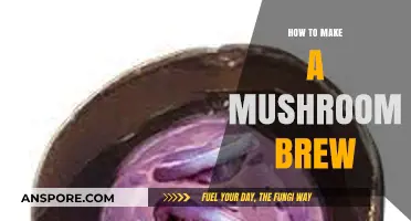 Mastering Mushroom Brew: A Step-by-Step Guide to Crafting Your Own
