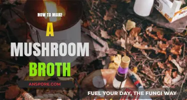 Crafting Rich, Flavorful Mushroom Broth: A Simple Step-by-Step Guide
