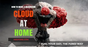 Creating a Mushroom Cloud Effect Safely at Home: A Step-by-Step Guide