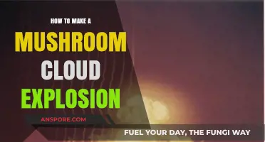 Creating a Mushroom Cloud: The Science Behind Explosive Detonations