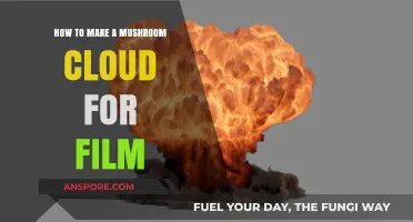 Creating Realistic Mushroom Cloud Effects for Cinematic Explosions in Film