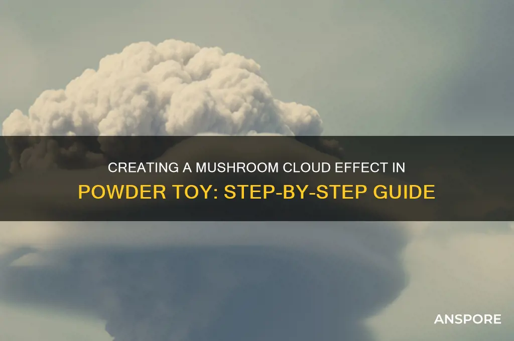 how to make a mushroom cloud in powder toy