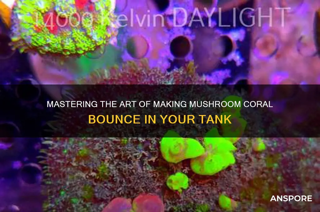 how to make a mushroom coral bounce