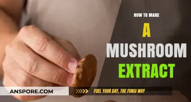 Mastering Mushroom Extract: Simple Steps for Homemade Nutritional Power