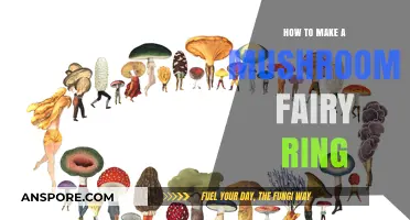 Crafting Enchanting Mushroom Fairy Rings: A Step-by-Step Magical Guide