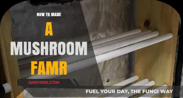 Grow Your Own Mushrooms: A Step-by-Step Guide to Farming Success