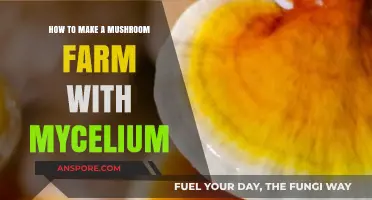 Grow Your Own Mushrooms: A Mycelium Farming Guide