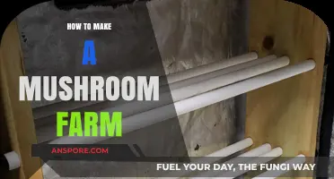 Grow Your Own Mushrooms: A Step-by-Step Guide to Farming