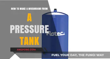 Crafting Mushrooms: A Creative Guide Using Pressure Tanks