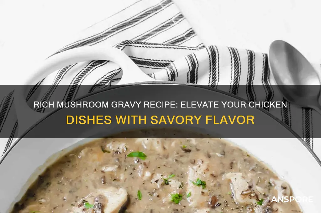 how to make a mushroom gravy for chicken