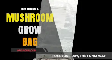 DIY Mushroom Grow Bag: Simple Steps for Successful Cultivation